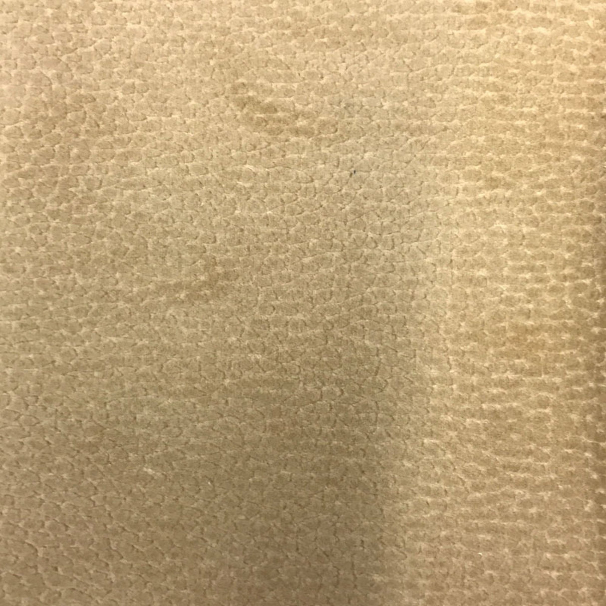 Liam Shiny Animal Skin Cut Velvet Fabric - Beige, 56" Width (1 Yard)