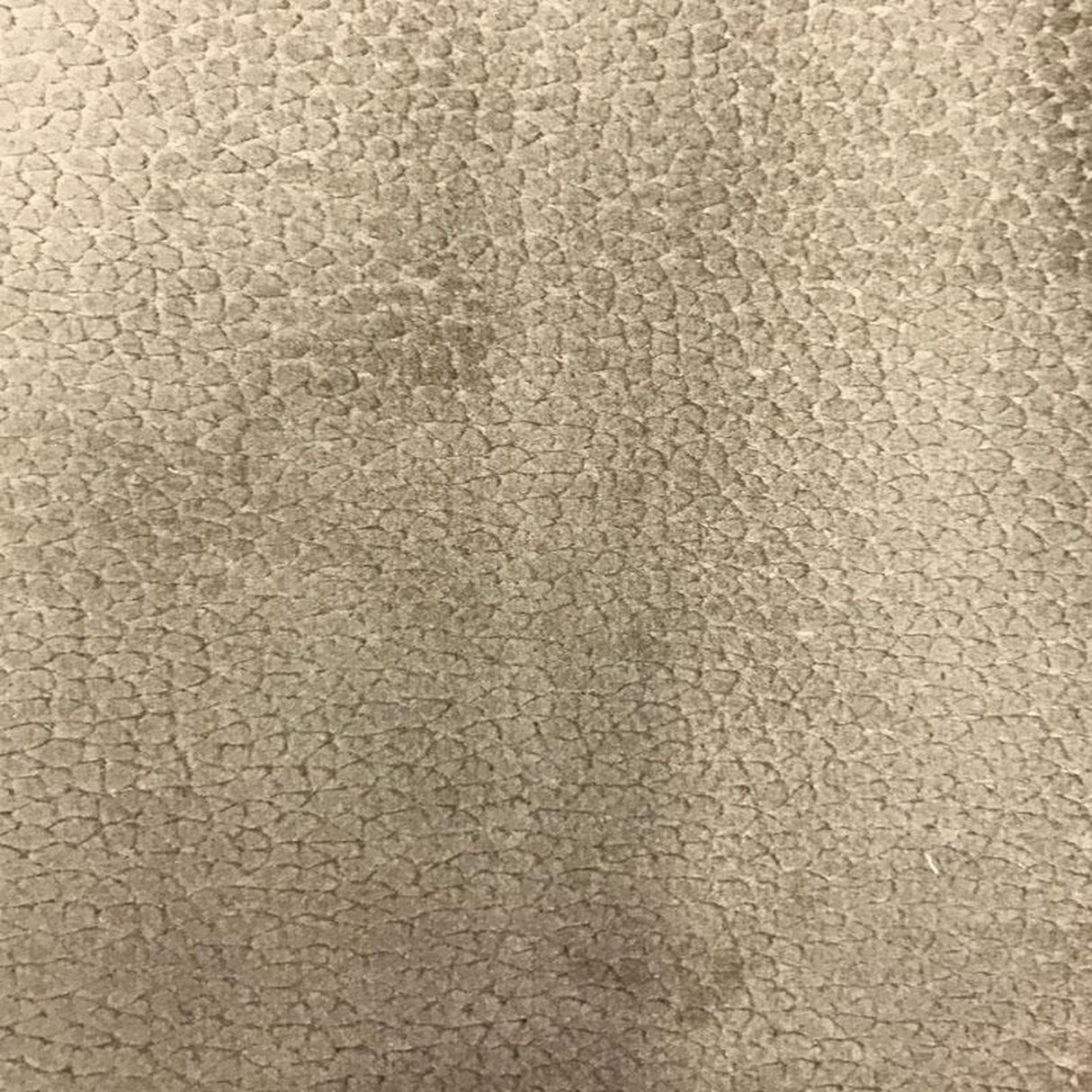 Liam Shiny Animal Skin Cut Velvet Fabric - Beige, 56" Width (1 Yard)