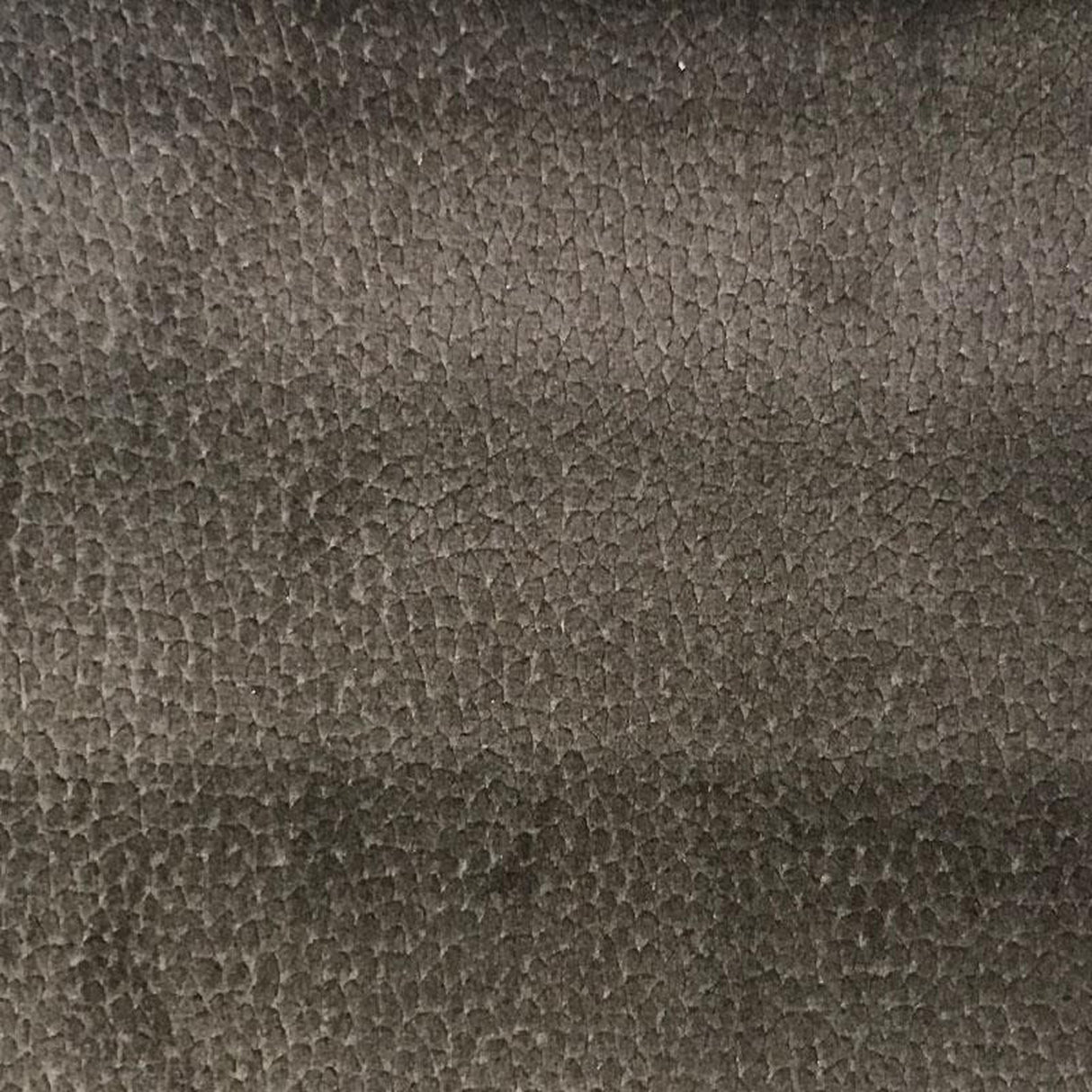 Liam Shiny Animal Skin Cut Velvet Fabric - Beige, 56" Width (1 Yard)