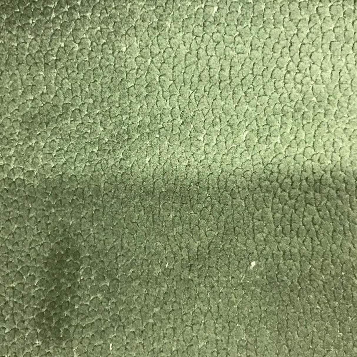 Liam Shiny Animal Skin Cut Velvet Fabric - Beige, 56" Width (1 Yard)