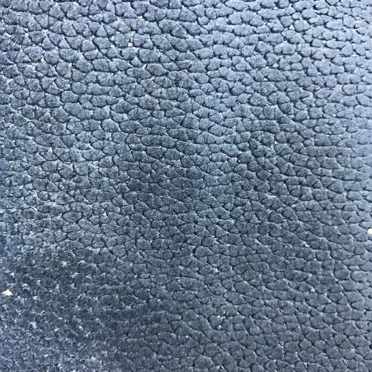 Liam Shiny Animal Skin Cut Velvet Fabric - Beige, 56" Width (1 Yard)