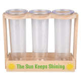 Root Viewer Science Kit (1 PC)