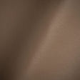 Port Italian Taupe Top Grain Performance Cow Leather Hide with Protective Finish