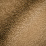 Paloma Italian Canyon Semi-Aniline Natural Pebble Top Grain Performance Cow Leather Hide