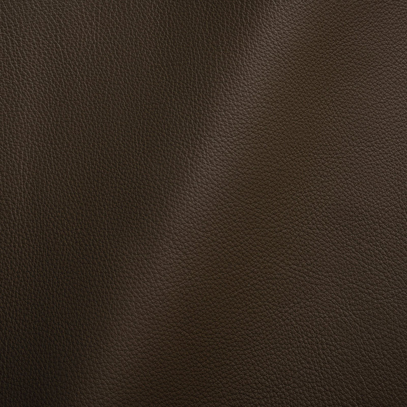 Paloma Italian Coal Semi-Aniline Natural Pebble Top Grain Performance Cow Leather Hide
