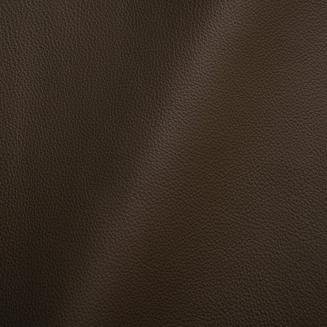 Paloma Italian Coal Semi-Aniline Natural Pebble Top Grain Performance Cow Leather Hide