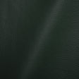 Paloma Italian Spruce Semi-Aniline Natural Pebble Top Grain Performance Cow Leather Hide