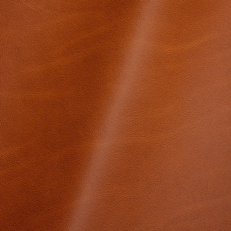 Vermouth Italian Cognac Natural Top Grain Protected Performance Cow Leather Hide