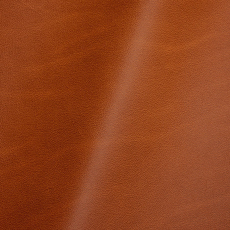 Vermouth Italian Cognac Natural Top Grain Protected Performance Cow Leather Hide