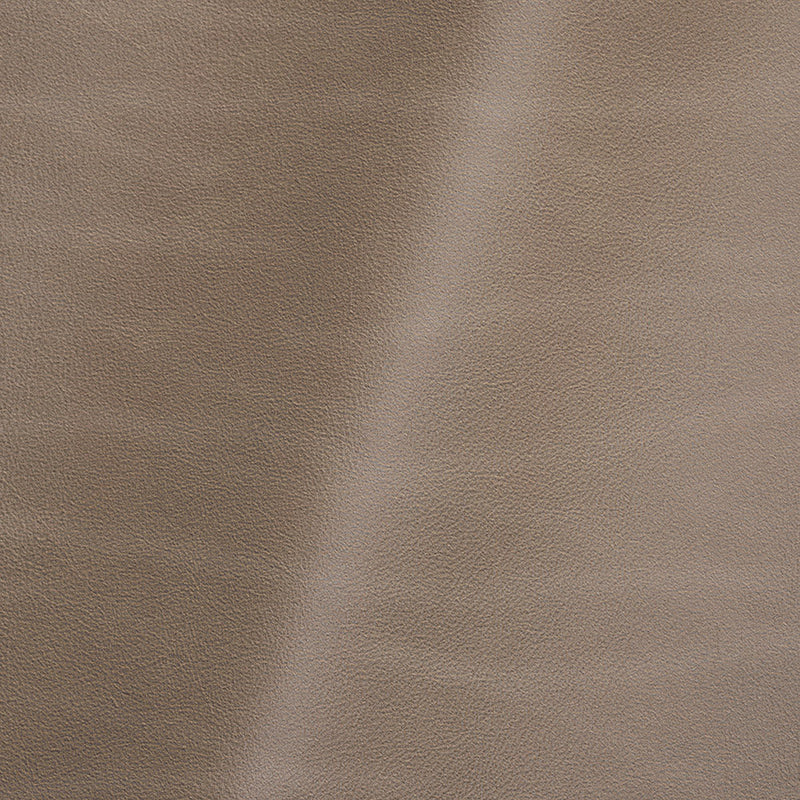 Vermouth Italian Light Taupe Natural Top Grain Protected Performance Cow Leather Hide