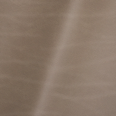 Vermouth Italian Light Taupe Natural Top Grain Protected Performance Cow Leather Hide