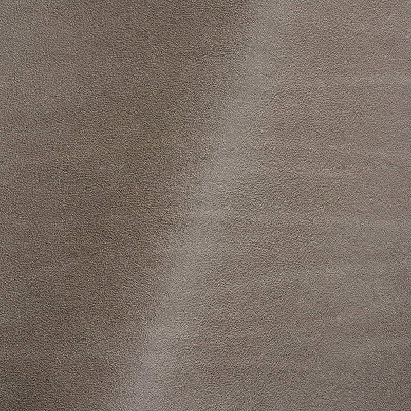 Vermouth Italian Stone Natural Top Grain Protected Performance Cow Leather Hide