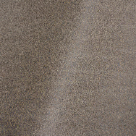 Vermouth Italian Stone Natural Top Grain Protected Performance Cow Leather Hide