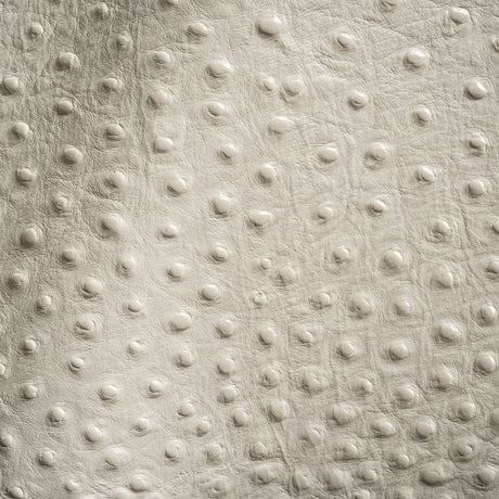Shirley Italian Ivory Ostrich Embossed Semi-Aniline Top Grain Cow Leather Hide