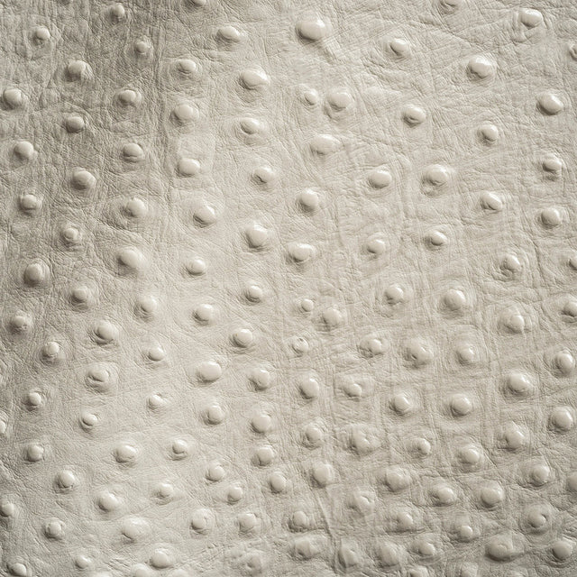 Shirley Italian Ivory Ostrich Embossed Semi-Aniline Top Grain Cow Leather Hide