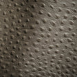 Shirley Italian Pewter Ostrich Embossed Semi-Aniline Top Grain Cow Leather Hide