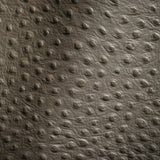 Shirley Italian Pewter Ostrich Embossed Semi-Aniline Top Grain Cow Leather Hide