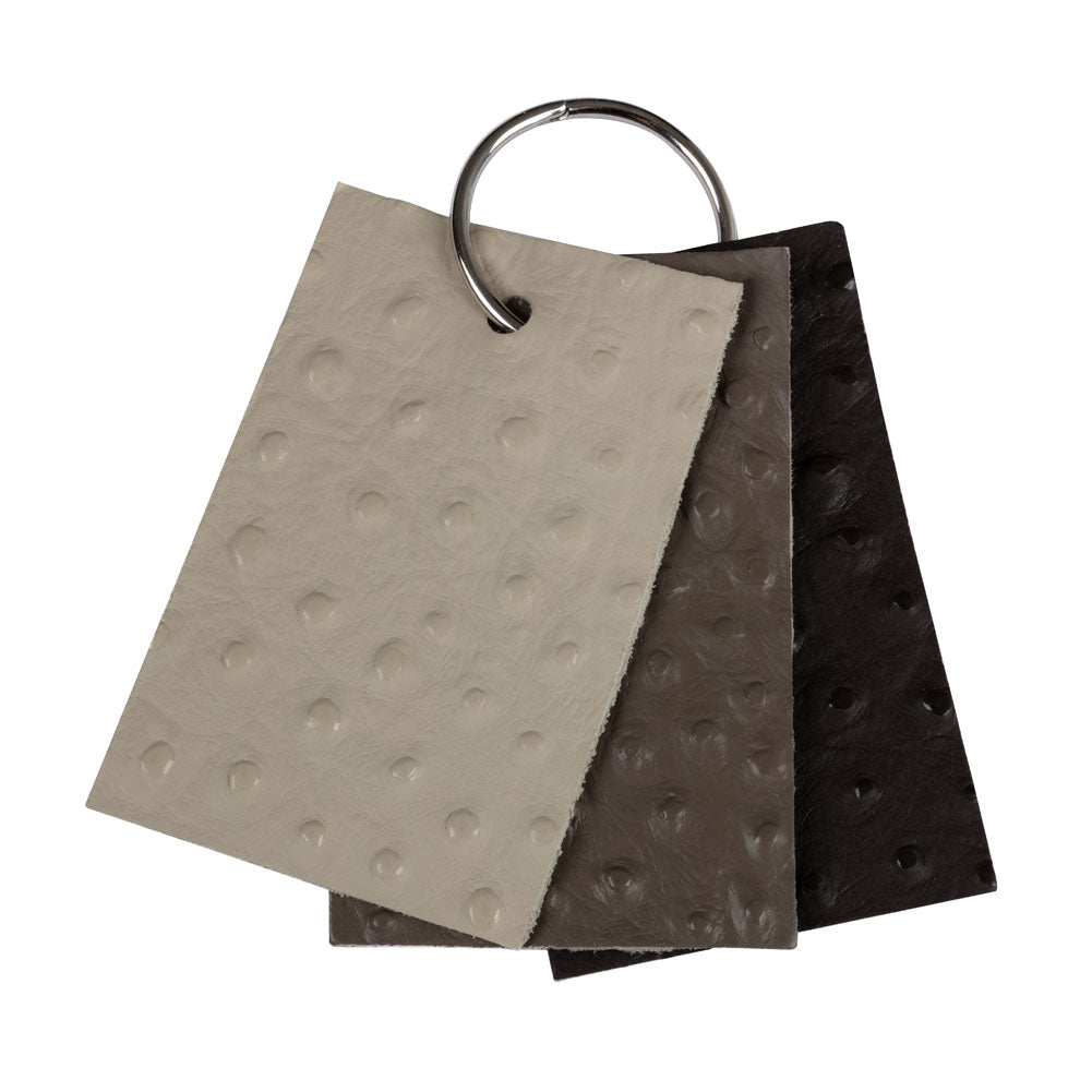 Shirley Italian Espresso Ostrich Embossed Semi-Aniline Top Grain Cow Leather Hide