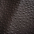 Shirley Italian Espresso Ostrich Embossed Semi-Aniline Top Grain Cow Leather Hide
