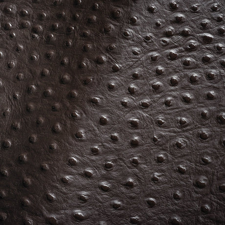 Shirley Italian Espresso Ostrich Embossed Semi-Aniline Top Grain Cow Leather Hide