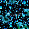 Lantern Nylon Spandex Fabric - Chinese Dragon And Lantern Print, Blue Or Orange On Black, 58/60" Width (1 Yard)