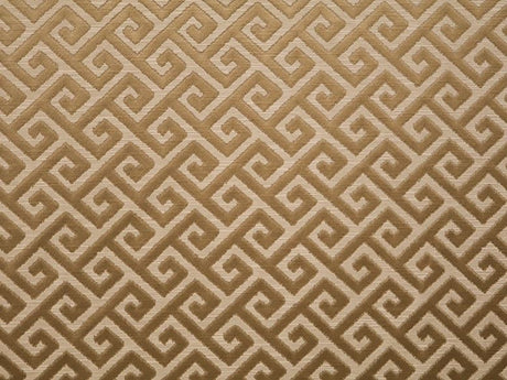 1 Yard Darius Application Upholstery Drapery 55 Inches Wide