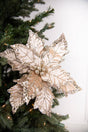 24” x 12" Leafy Champagne Poinsettia Stem