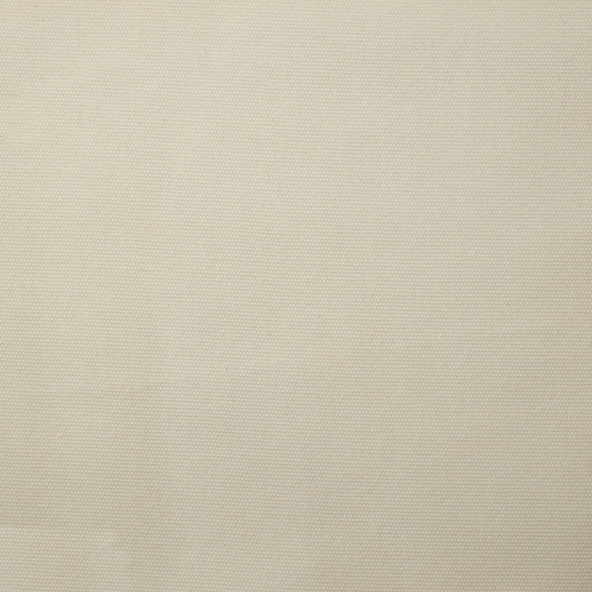Cotton Upholstery Fabric by the Yard - Leah Solid Brushed 61" Wide