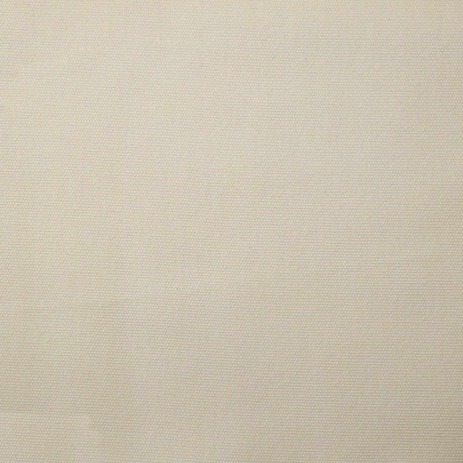Cotton Upholstery Fabric by the Yard - Leah Solid Brushed 61" Wide