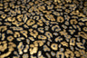 Foil Printed Spandex Leopard Black
