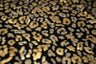 Leo Party Foil Printed Spandex Fabric - Black/Multicolored Leopard Foil Print, 56" Width (1 Yard)