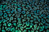 Leo Party Foil Printed Spandex Fabric - Black Leopard Foil Print, 56" Width (1 Yard)