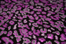 Leo Party Foil Printed Spandex Fabric - Black/Multicolored Leopard Foil Print, 56" Width (1 Yard)