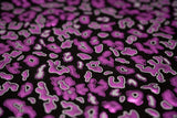 Leo Party Foil Printed Spandex Fabric - Black Leopard Foil Print, 56" Width (1 Yard)