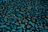 Leo Party Foil Printed Spandex Fabric - Black/Multicolored Leopard Foil Print, 56" Width (1 Yard)