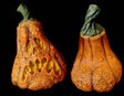 Sad Pumpkin - Hollow Pumpkin Prop
