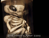 Combo - White Alien and Red Alien - Embryo Jar
