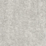Luxe Cuddle Arctic Fox Cloudburst Fabric