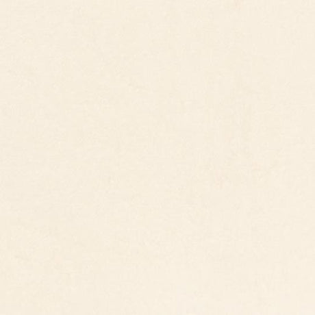 Minky Fabric Luxe Cuddle Bunny Lush Natural 58/60