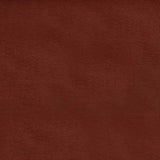 Luxe Cuddle Bunny Autumn Fabric 58/60"