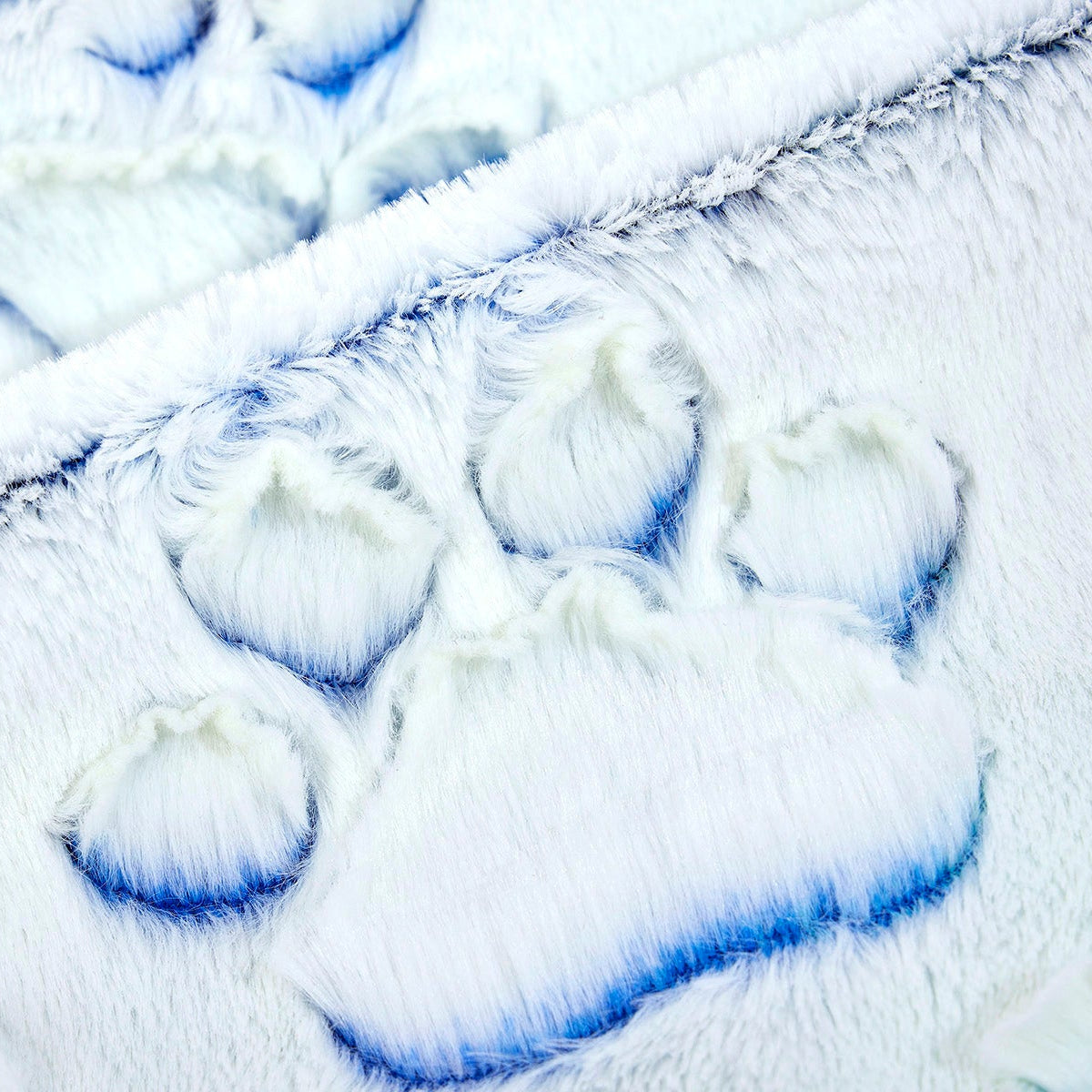 Luxe Cuddle Prism Paws Nautical Blue Fabric