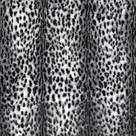 Luxe Cuddle Savanna Snow/Black Fabric 58/60" per Yard