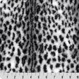 Luxe Cuddle Savanna Snow/Black Fabric 58/60" per Yard