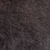 Luxe Cuddle Teddy Yogi Fabric 58/60"