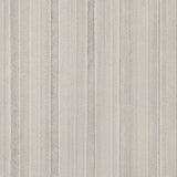 Luxe Cuddle Vienna Vapor Minky Fabric 58-60"