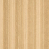 Luxe Cuddle Vienna Latte Minky Fabric 58-60"