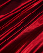 Red Foiled Spandex