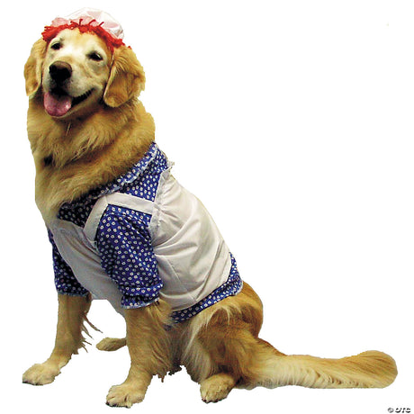 Raggedy Ann Dog Costume for Pet Dress Up Halloween Parties and Fun Pet Day Events