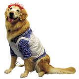 Raggedy Ann Dog Costume
