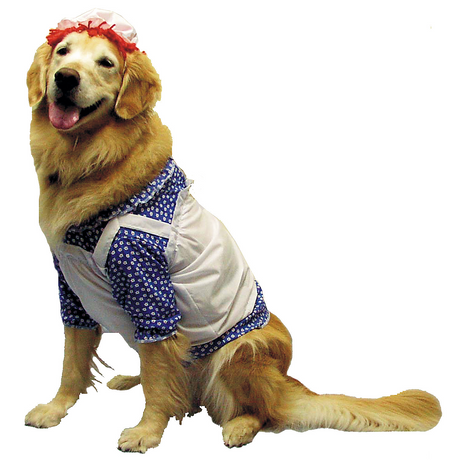 Raggedy Ann Dog Costume